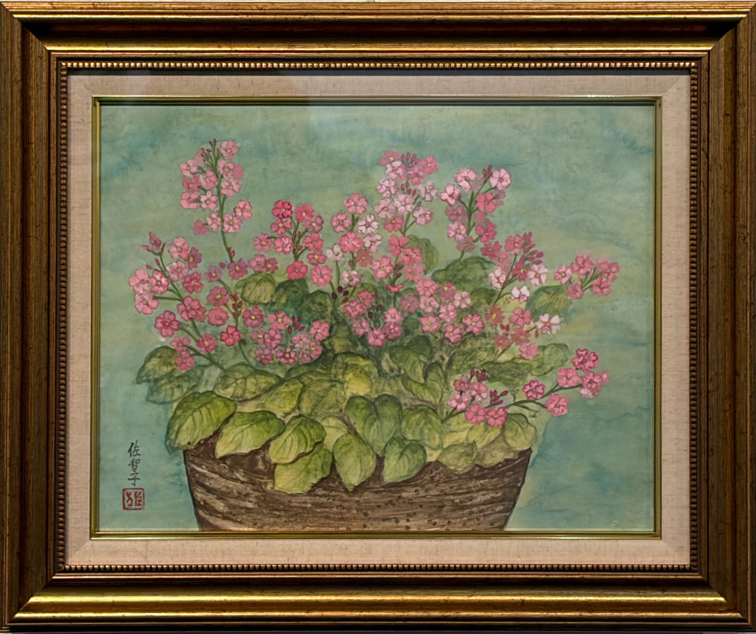 桜草