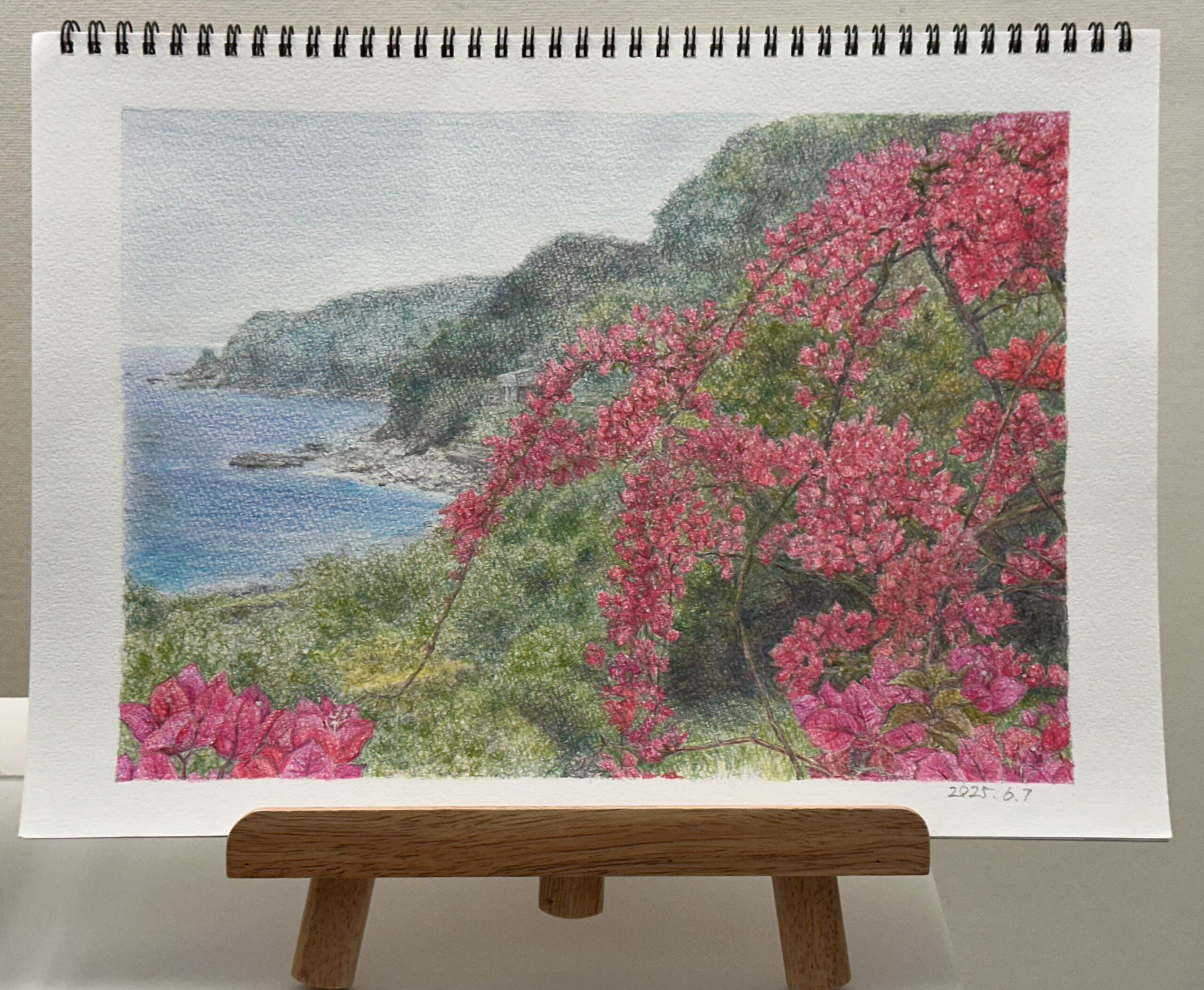 花のある風景（ブーゲンビリアの庭）