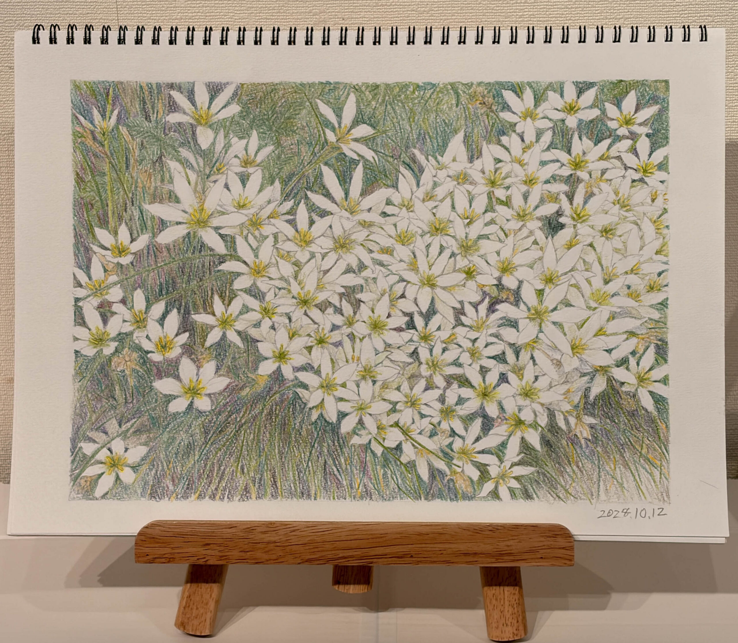 花のある風景（玉すだれ）